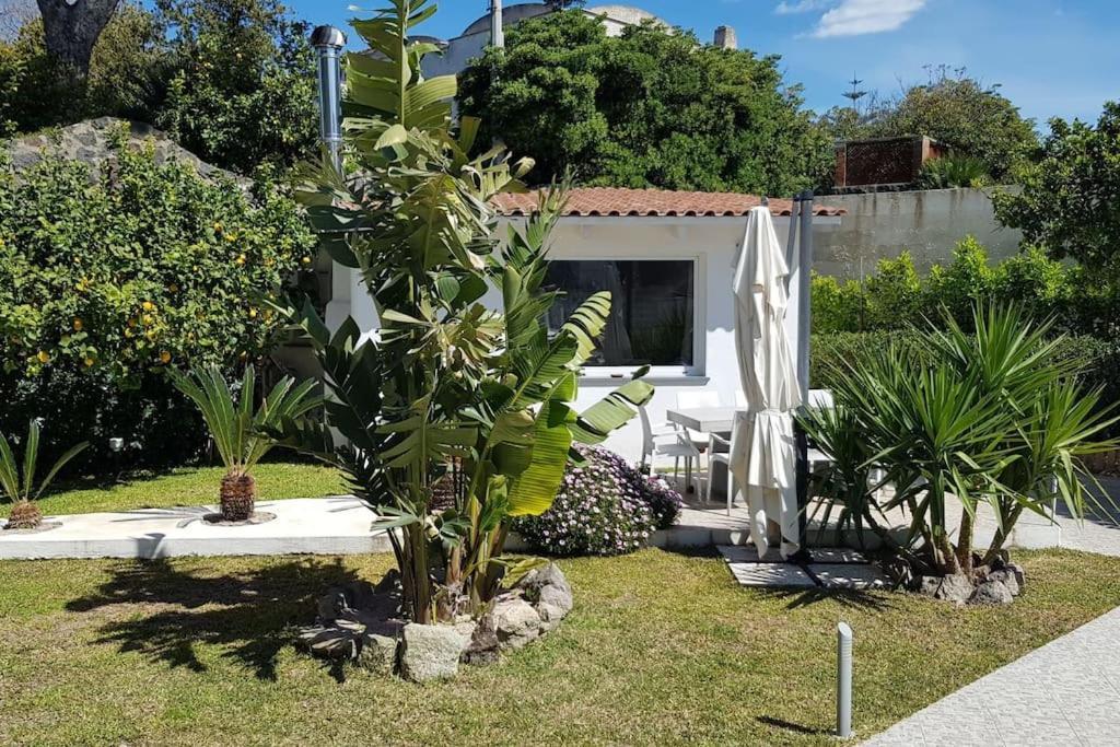 Casa Vacanza M&C Ischia Forio  ภายนอก รูปภาพ